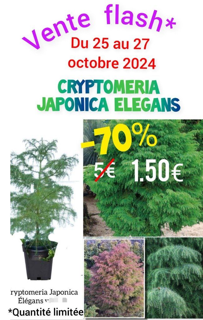 Vente flash. 
6€ -70%= 1.50€*