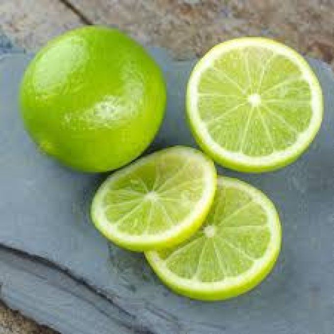 Citronnier vert Lime